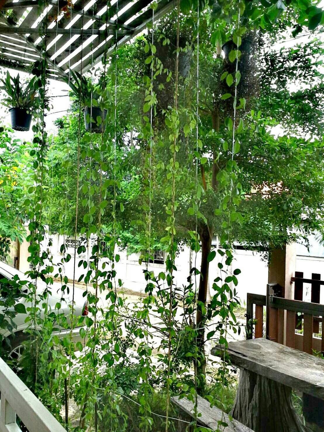 Lampang Lanna Home 외부 사진