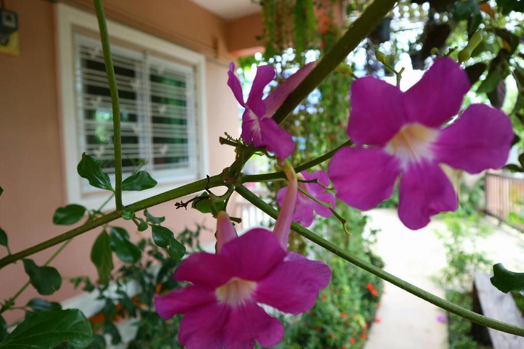 Lampang Lanna Home 외부 사진
